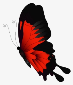Transparent Butterflies Png Transparent - Red Butterfly Png Transparent, Png Download, Transparent PNG