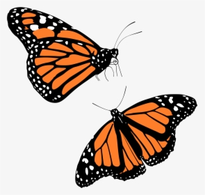 Clip Art Monarch Big Image Png - Transparent Background Monarch Butterfly Png, Png Download, Transparent PNG