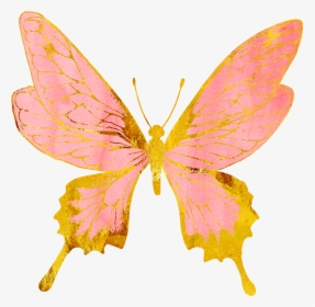 Rose Gold Butterfly Transparent, HD Png Download, Transparent PNG