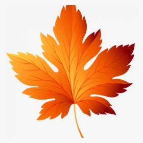 Fall Leaves Background Clipart - Clip Art Fall Leaf, HD Png Download, Transparent PNG