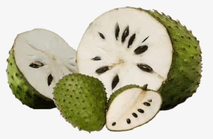 Fresh Soursop - Mul Seethapalam In Chennai, HD Png Download, Transparent PNG