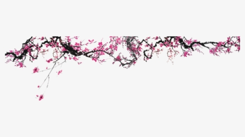 Cherry Blossom Header Png, Transparent Png, Transparent PNG