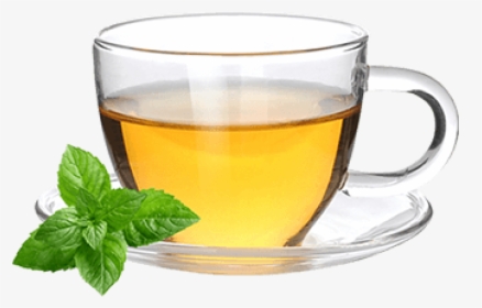 Soursop Tea - Green Tea, HD Png Download, Transparent PNG