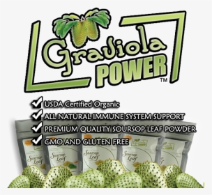 Graviola Power - Fruit, HD Png Download, Transparent PNG