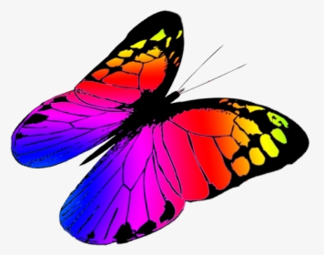 Free Butterfly Clipart - Colorful Butterflies Flying Png, Transparent Png, Transparent PNG