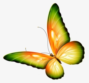 Flying Butterfly Clipart Png - Clip Art Transparent Butterflies, Png Download, Transparent PNG