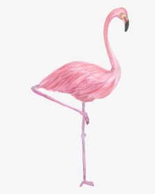 Flamingo Drawing Watercolor Painting - Transparent Watercolor Flamingo Png, Png Download, Transparent PNG