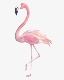 Watercolor Flamingo Clipart, HD Png Download, Transparent PNG