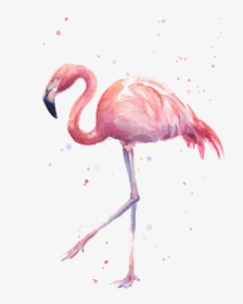 Watercolor Flamingo, HD Png Download, Transparent PNG