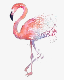 Transparent Watercolor Flamingo Png - Watercolor Flamingos, Png Download, Transparent PNG