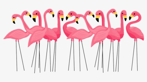 Flamingo Birthday Invitations, HD Png Download, Transparent PNG