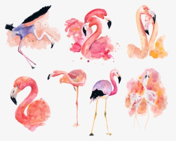 Watercolor Clipart Flamingo - Pink Flamingo Flamingo Clipart, HD Png Download, Transparent PNG