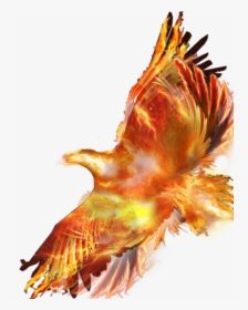 #phoenix #fire #bird #flight - Eagle, HD Png Download, Transparent PNG