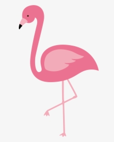 Flamingos Bird Euclidean Vector - Transparent Flamingo Clip Art, HD Png Download, Transparent PNG