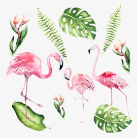 Watercolour Flamingo, HD Png Download, Transparent PNG
