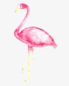 #tumblr #watercolor #aquarelle #flamingo #freetoedit - Iphone Xs Max Wallpaper Flamingo, HD Png Download, Transparent PNG