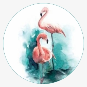 Flamingo Birds Circle Round Pattern Template - Watercolor Simple Bird Painting, HD Png Download, Transparent PNG