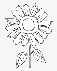 Sunflower Clipart Black And Sunflowers White - Clip Art, HD Png Download, Transparent PNG