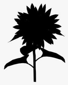Transparent Flower Silhouette Png - Like A Sunflower Quotes, Png Download, Transparent PNG