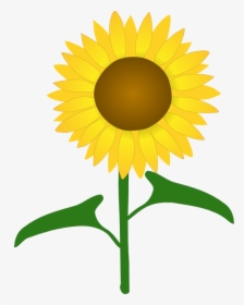 Like A Sunflower Quotes, HD Png Download, Transparent PNG