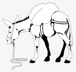 Clip Art Donkey Free Download Clipart - Horse And Donkey Story, HD Png Download, Transparent PNG