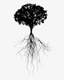 Portable Network Graphics Clip Art Vector Graphics - Tree With Roots Png, Transparent Png, Transparent PNG