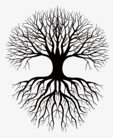 Coloring Book Drawing Root Tree Clip Art - Tree And Roots Silhouette Png, Transparent Png, Transparent PNG