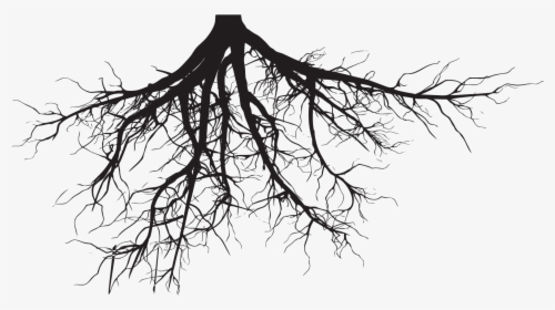 Transparent Helping Others Clipart - Tree Roots Silhouette Png, Png Download, Transparent PNG