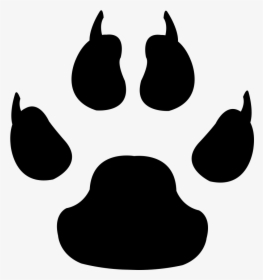 Tiger Leopard Coyote Cat Gray Wolf - Wolf Paw Print Vector, HD Png Download, Transparent PNG