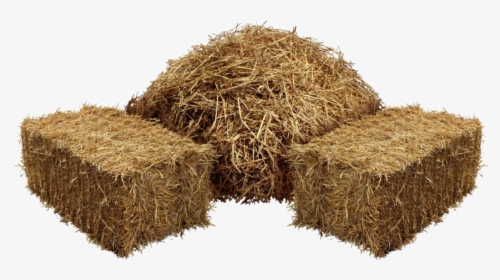 Square Hay Png Picture - Hay Png, Transparent Png, Transparent PNG