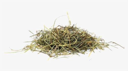 Hay Png Picture - Grass Hay Png, Transparent Png, Transparent PNG