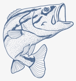 Transparent Fishing Rod Png - Do Not Microwave Fish, Png Download, Transparent PNG