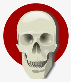 Human Skull - Png Gif In Live, Transparent Png, Transparent PNG