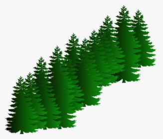 Evergreen Cluster Clip Art - Vector Pine Tree Png, Transparent Png, Transparent PNG