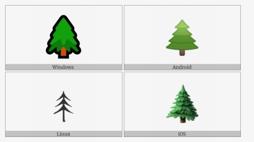 Evergreen Tree On Various Operating Systems - Christmas Tree, HD Png Download, Transparent PNG