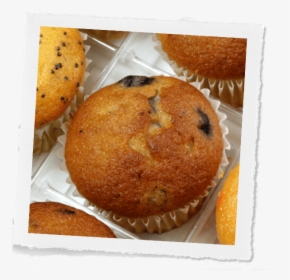 Blueberry Muffins - Muffin, HD Png Download, Transparent PNG