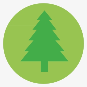 Tree Icon Conservation Icon - Conservation Icon Png, Transparent Png, Transparent PNG