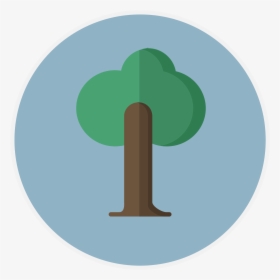 Tree Icon Png - Tree Flat Circle Icon, Transparent Png, Transparent PNG