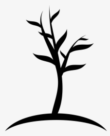 Young Tree - Young Tree Icon, HD Png Download, Transparent PNG