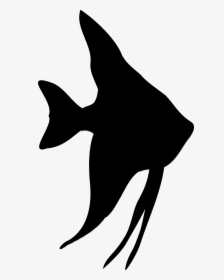 Tropical Fish Silhouette, HD Png Download, Transparent PNG