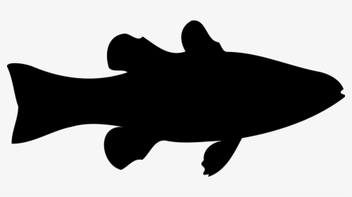 Photography - Clipart Fish Silhouette, HD Png Download, Transparent PNG
