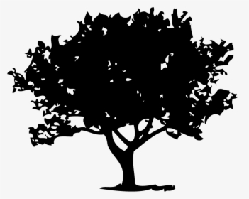 Transparent Tree Icon Png - Silhouette Of Fig Trees, Png Download, Transparent PNG