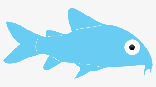 If You Look Carefully, You Ll Be Able To See Them Scooting - Cartilaginous Fish, HD Png Download, Transparent PNG