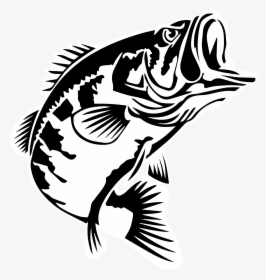 Bass Fishing Largemouth Bass 2016 Bassmaster Classic - Largemouth Bass Bass Fish Silhouette, HD Png Download, Transparent PNG