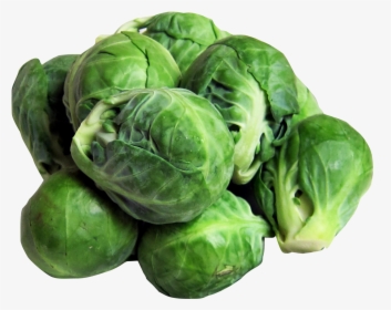 Brussels Sprouts Png Image - Brussels Sprouts Transparent Background, Png Download, Transparent PNG