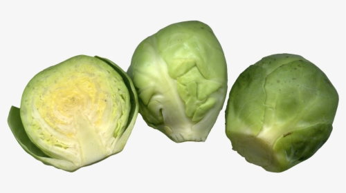 Brussels Sprouts Png Image - Clipart Transparent Brussel Sprouts, Png Download, Transparent PNG