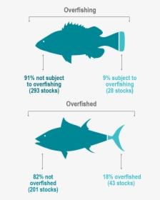 Fy2018 Stock Status Fish Graphic 01 01 - Number Of Overfished Stocks, HD Png Download, Transparent PNG