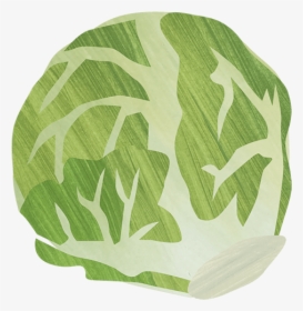 Cabbage, HD Png Download, Transparent PNG