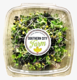 Boxed Sprouts Southerncityfarm, HD Png Download, Transparent PNG
