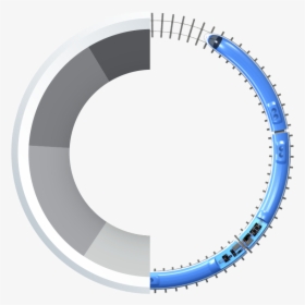 Circle, HD Png Download, Transparent PNG